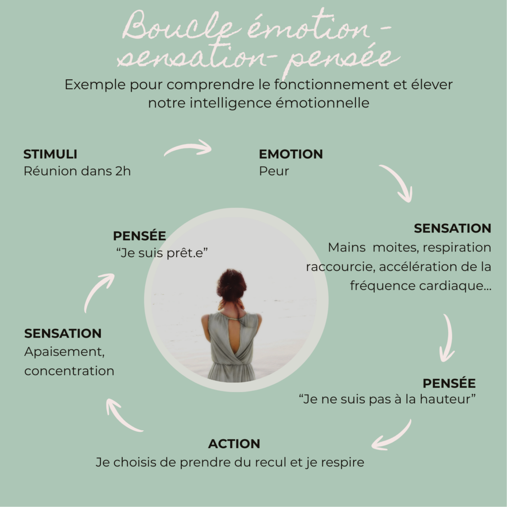 Quelle thérapie pour gérer ses émotions ? Une approche psychocorporelle intégrative comme la sophrologie holistique est un excellent choix Boucle émotion sensation pensée : le schéma pour comprendre le fonctionnement de nos réactions