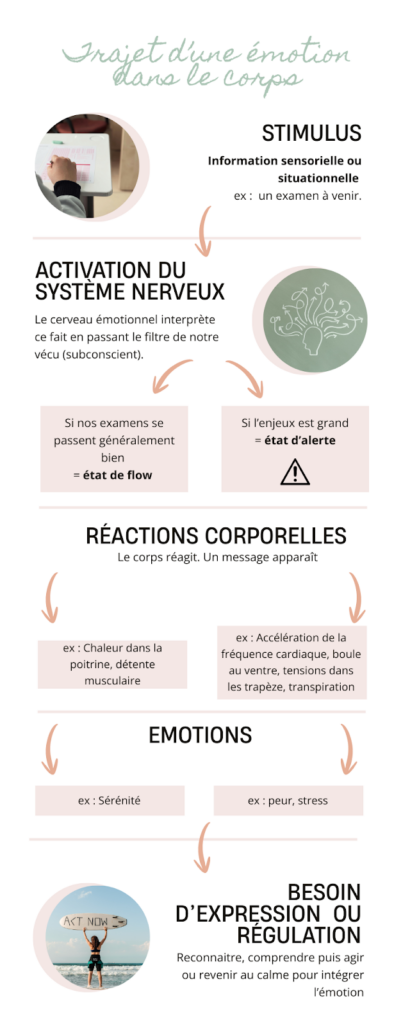 Exprimer ses émotions par le corps et réguler le système nerveux